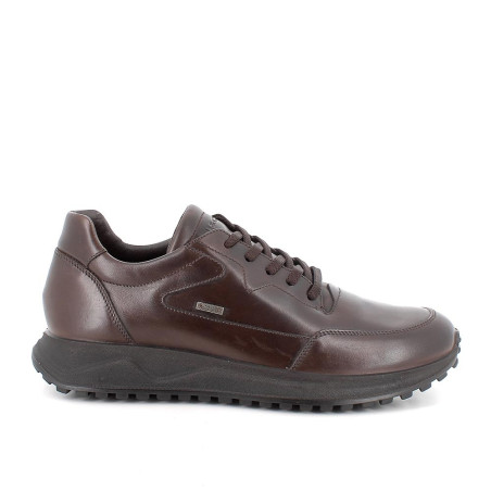 SNEAKERS IGI&CO UOMO GORE-TEX IN PELLE MARRONE SCURO 6638311